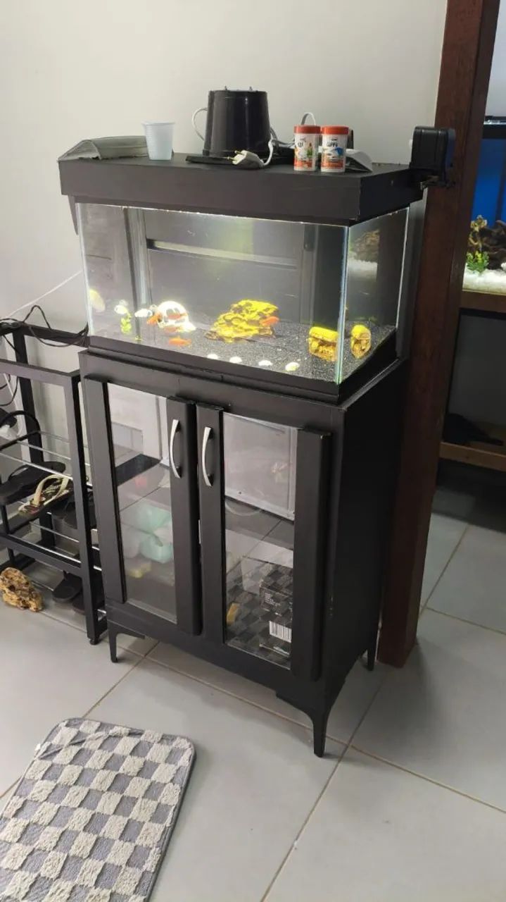 Aquário 60 comp x 30 larg x 33 alt - Compleyo