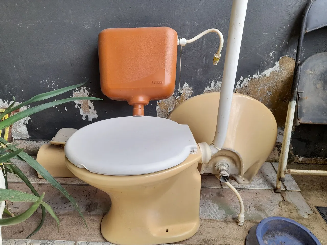Vaso Sanitário Completo - Vintage