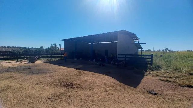 FAZENDA DUPLA APTIDÃO,  NA REGIÃO DE COUTO MAGALHÃES, NO VALE DO ARAGUAI-TO 22.200 ,000 - Foto 2