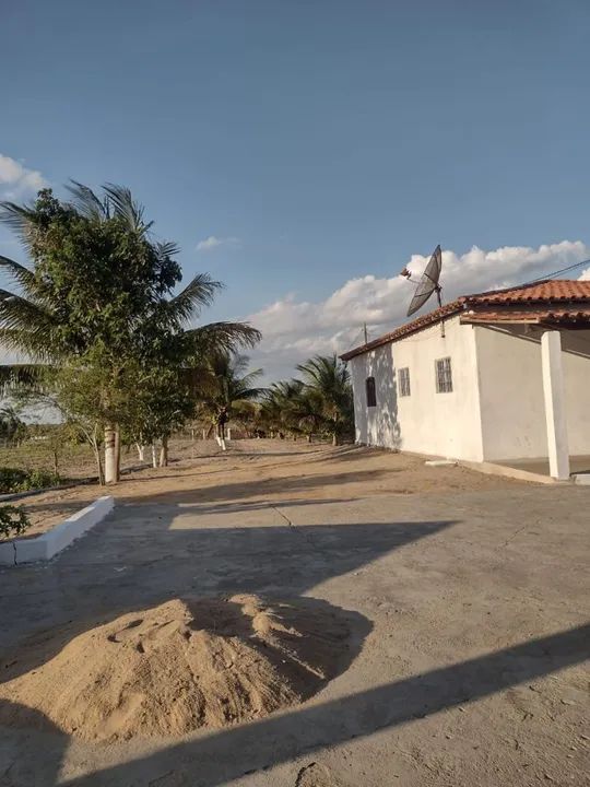 Chácara a venda no sítio brejinho em são João-pe ótima localização sítio top. - Foto 3
