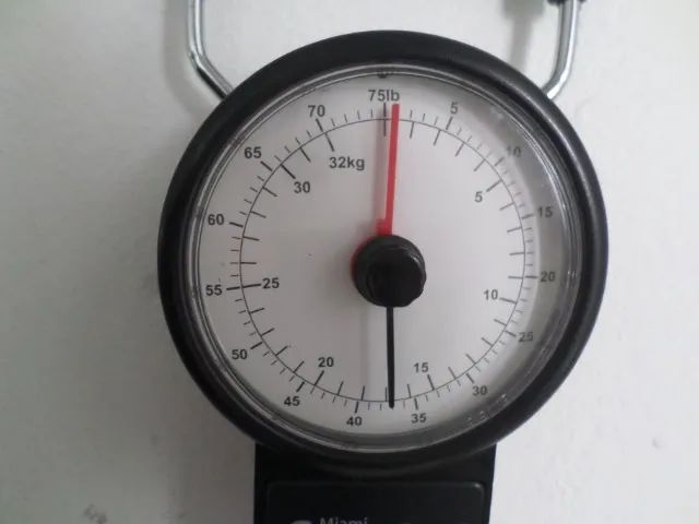 Balança Manual 35Kg c/ Trena 1M - Foto 2