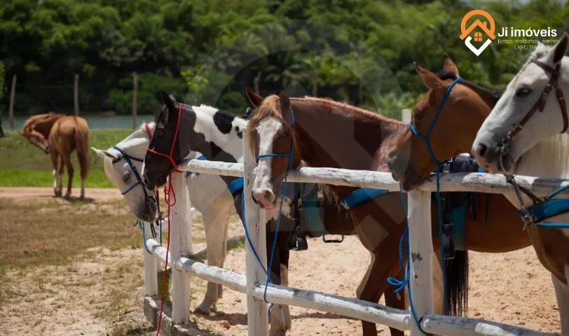 LOTES EM 24x PARCELAS FIXAS! Oportunidade na Fazenda Real Residence! - Foto 3