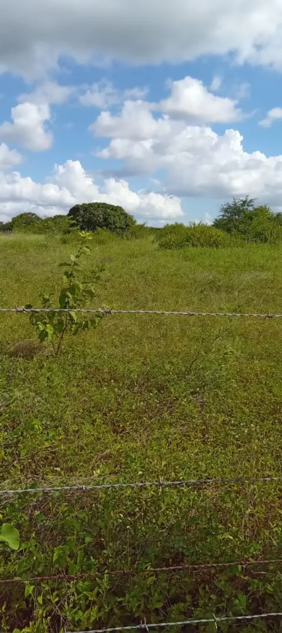 Terreno em lagoa da pimenta, aruaru, município de Morada Nova.