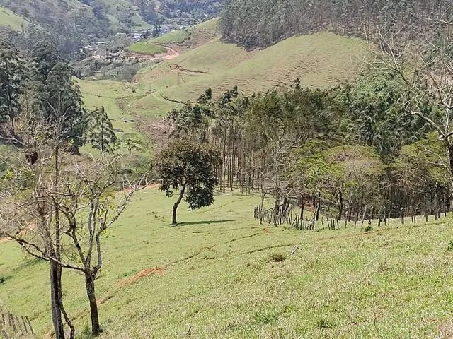 TRAJANO DE MORAES - RURAL - CENTRO - Foto 3