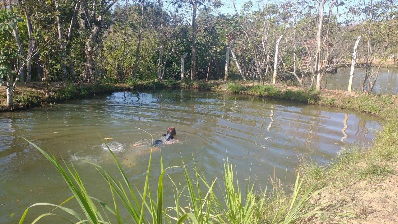 Chácara 40min Goiânia  - Foto 3