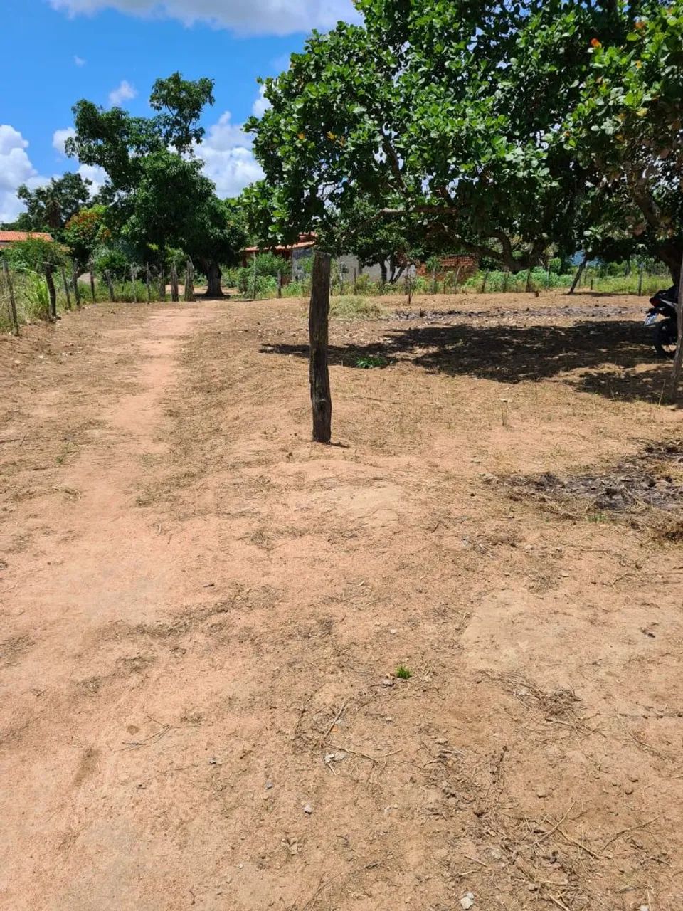 TERRENO - Foto 4