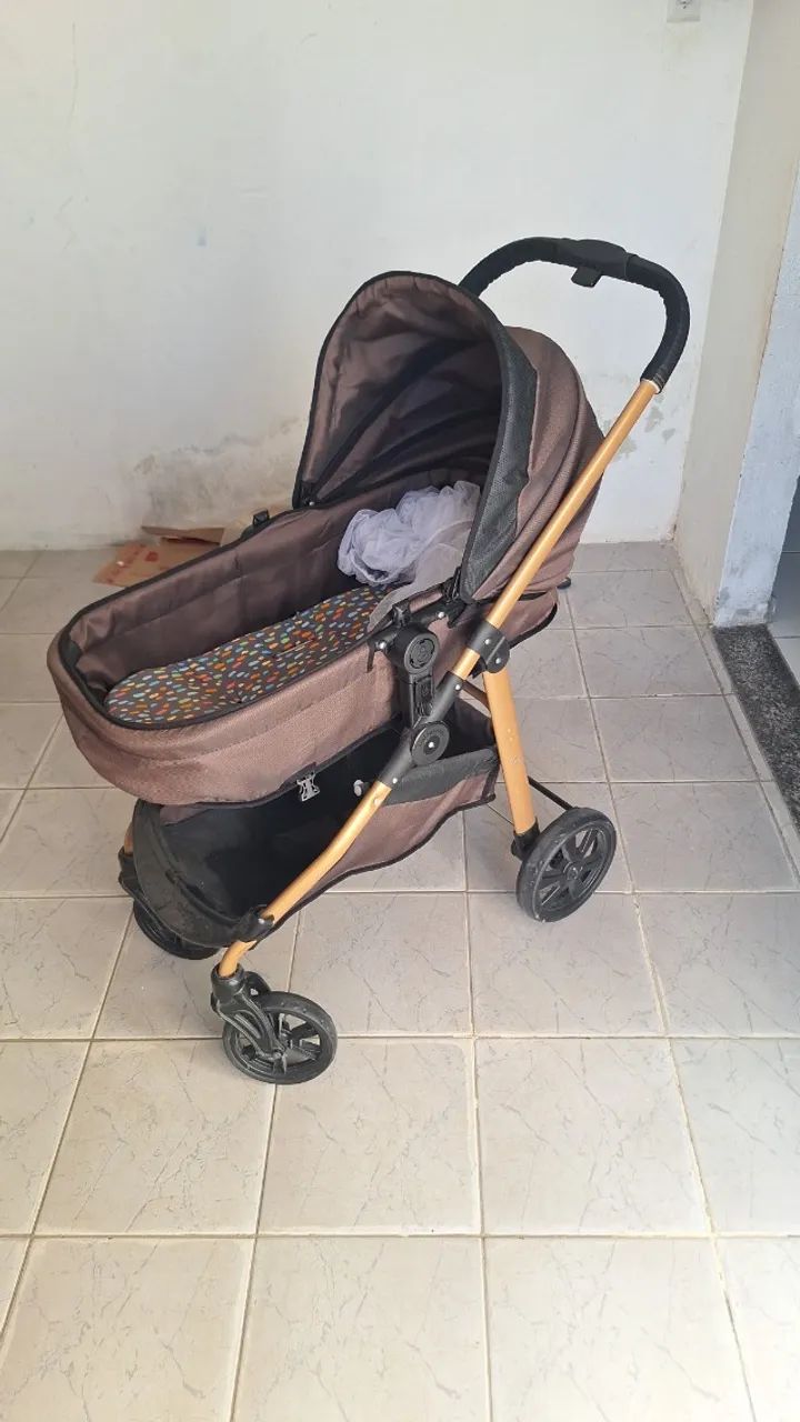 Carrinho Moisés galzerano 