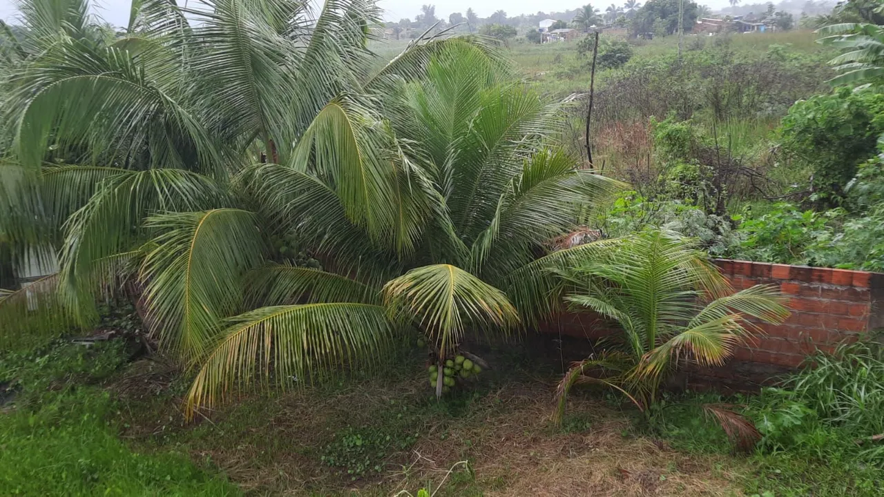 Vendo uma casa comTerreno na ilha de conceição em vera cruz