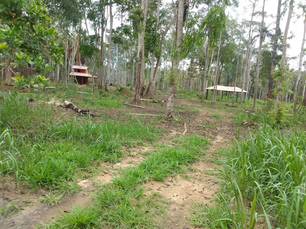 Chacara km 27 50x120