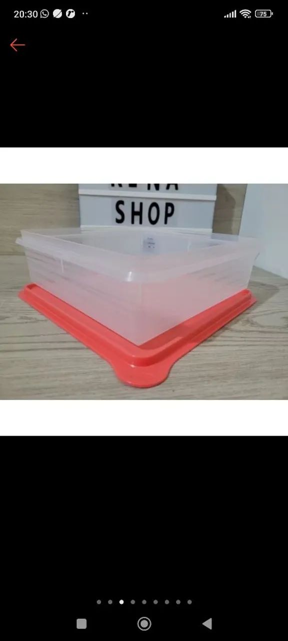 Conjunto de 2 potes para congelar alimentos - Foto 2