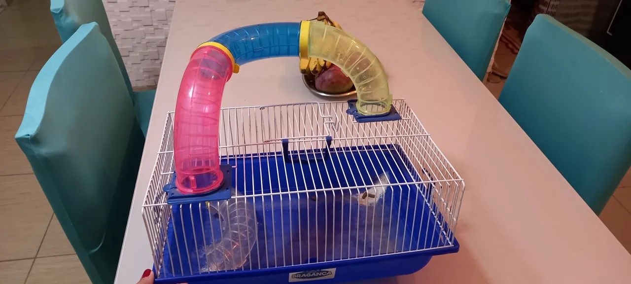 Casinha de hamster  - Foto 2