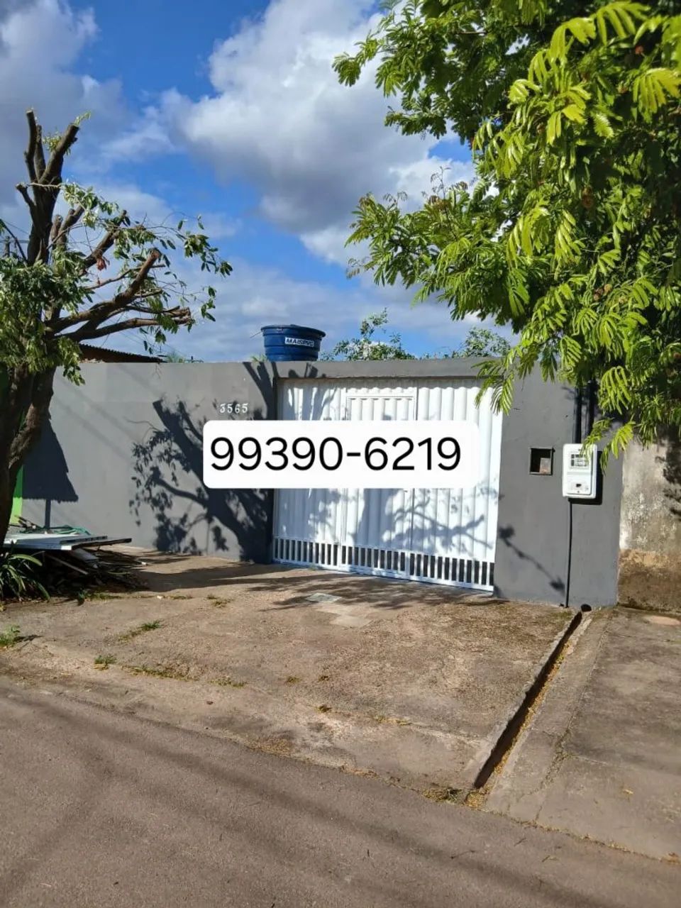 Foto - Porto Velho - Castanheira