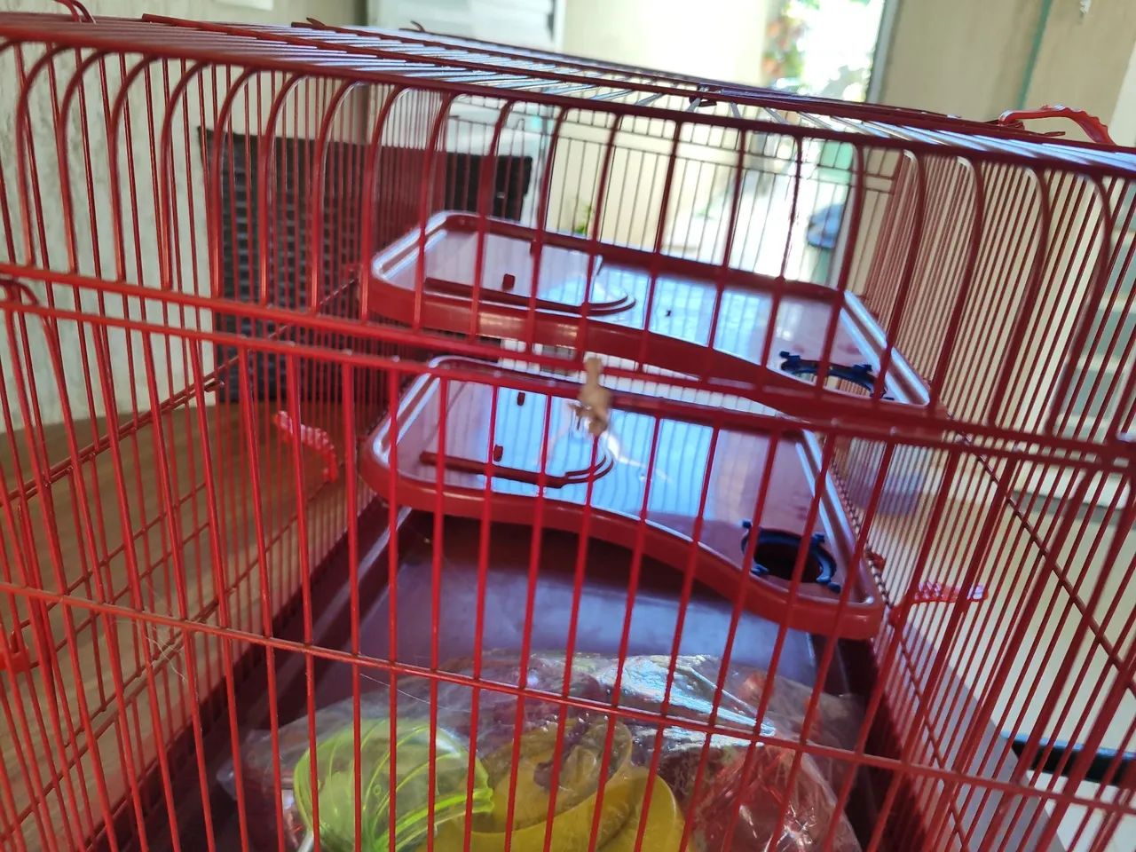 Gaiola hamster  - Foto 3