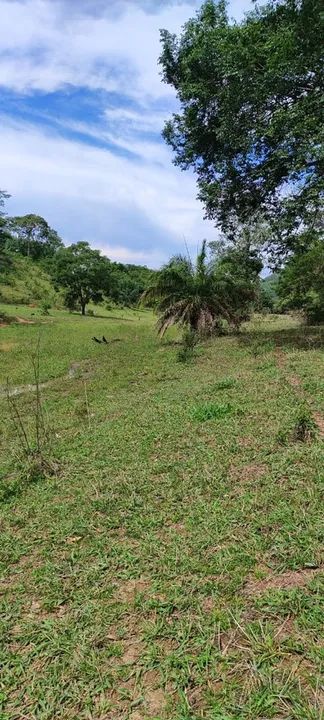Fazenda de 50 alqueires em Heitorai-Go  - Foto 2