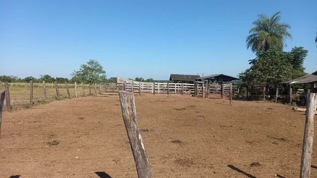 FAZENDA DUPLA APTIDÃO,  NA REGIÃO DE COUTO MAGALHÃES, NO VALE DO ARAGUAI-TO 22.200 ,000