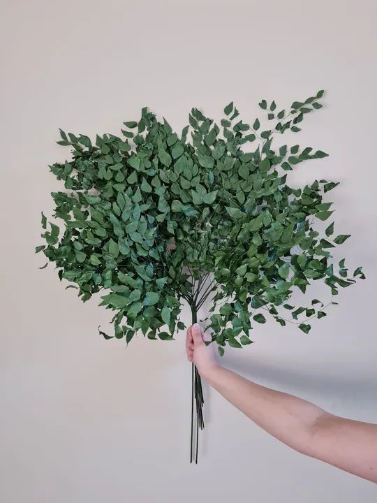 Jardim vertical preservado - M² planta preservada  - Foto 2