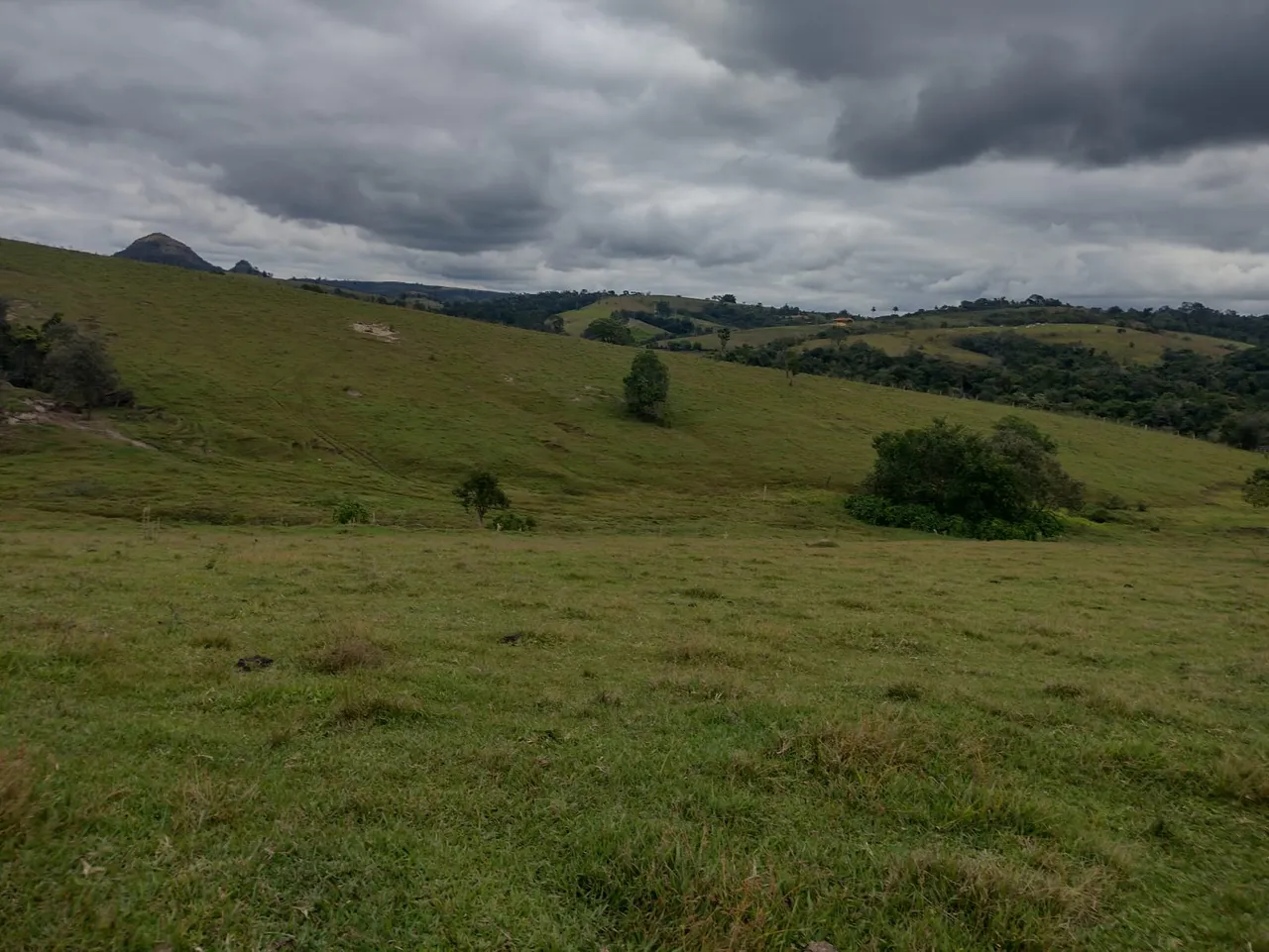Fazenda/Sítio/Chácara para venda tem 122000 metros quadrados em Rural - Torre de Pedra - S