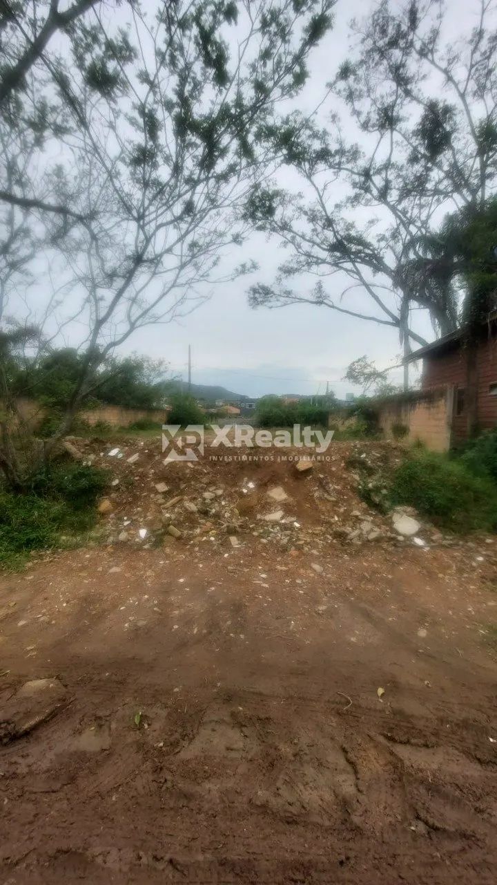 Terreno Rio Tavares com 540m² - Foto 5