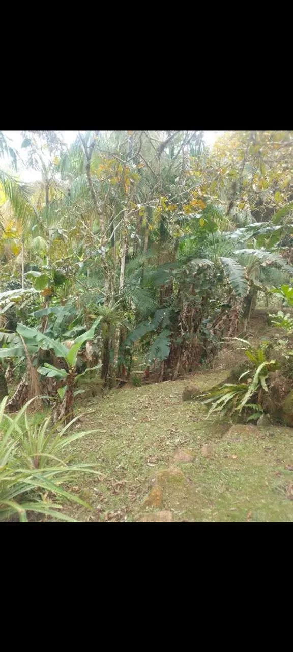 Vendendo uma chácara  - Foto 2