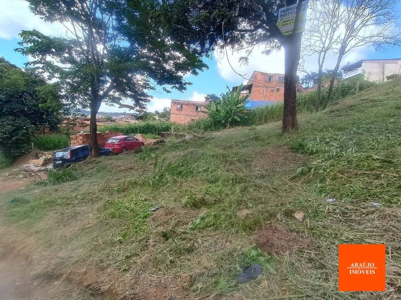 LOTE COM 435,16M2 EM SÃO JOSÉ DA LAPA-MG - Foto 2