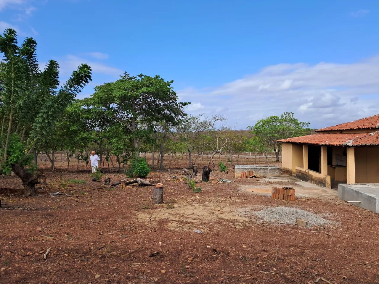 Sítio na vazantes aracoiaba - Foto 3