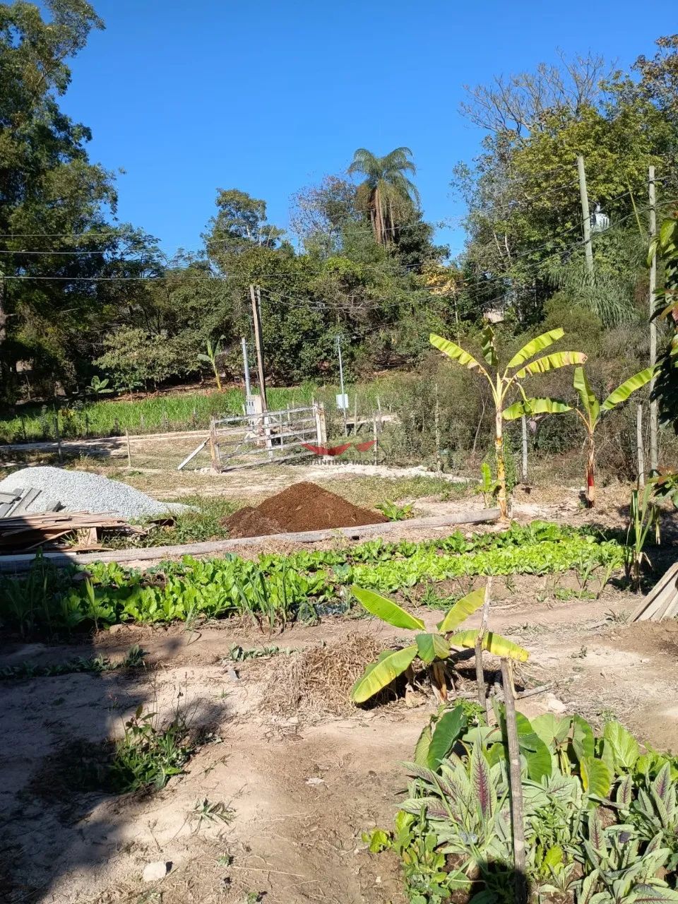 Fazenda / Sítios / Chácaras com 2 quartos à venda em Esmeraldas