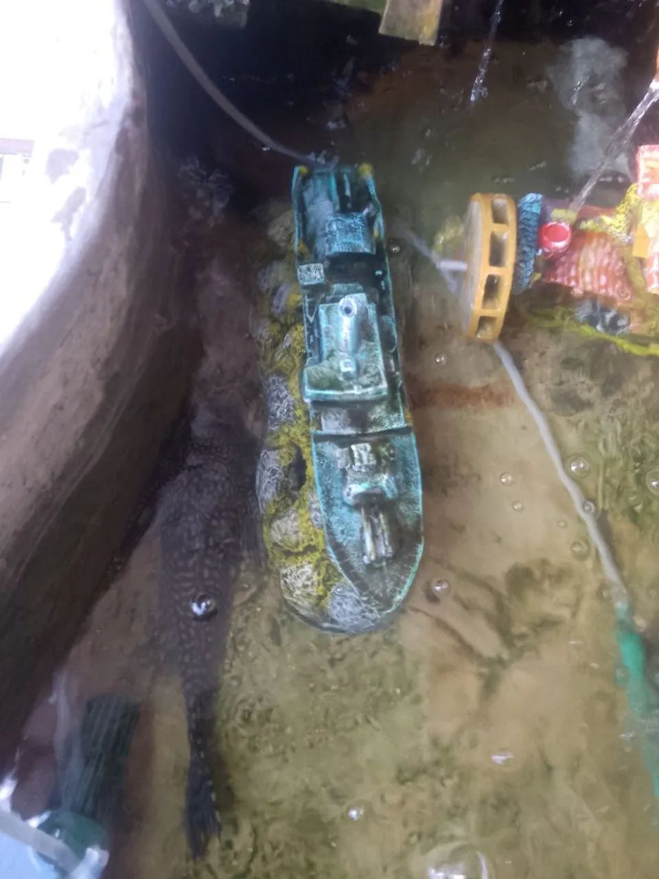 Fonte com aquário. - Foto 3