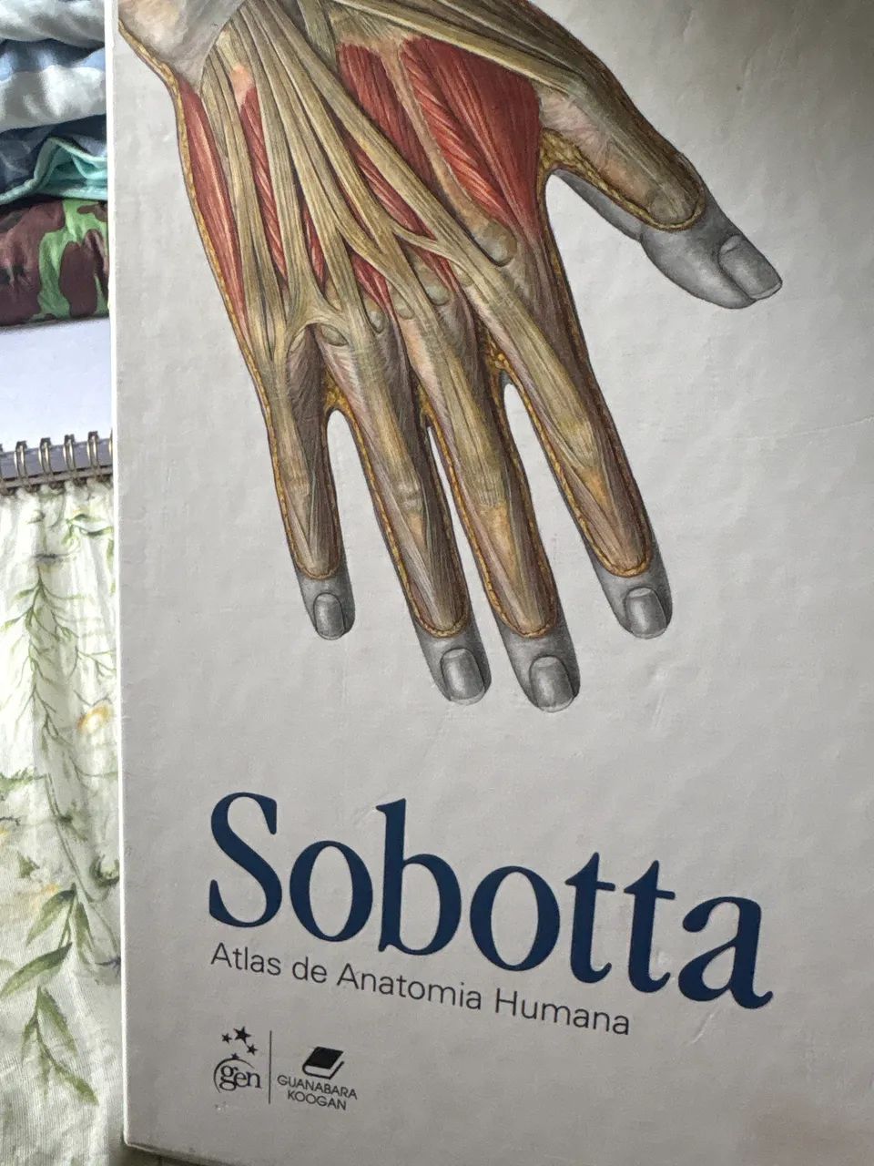 Atlas de anatomia 