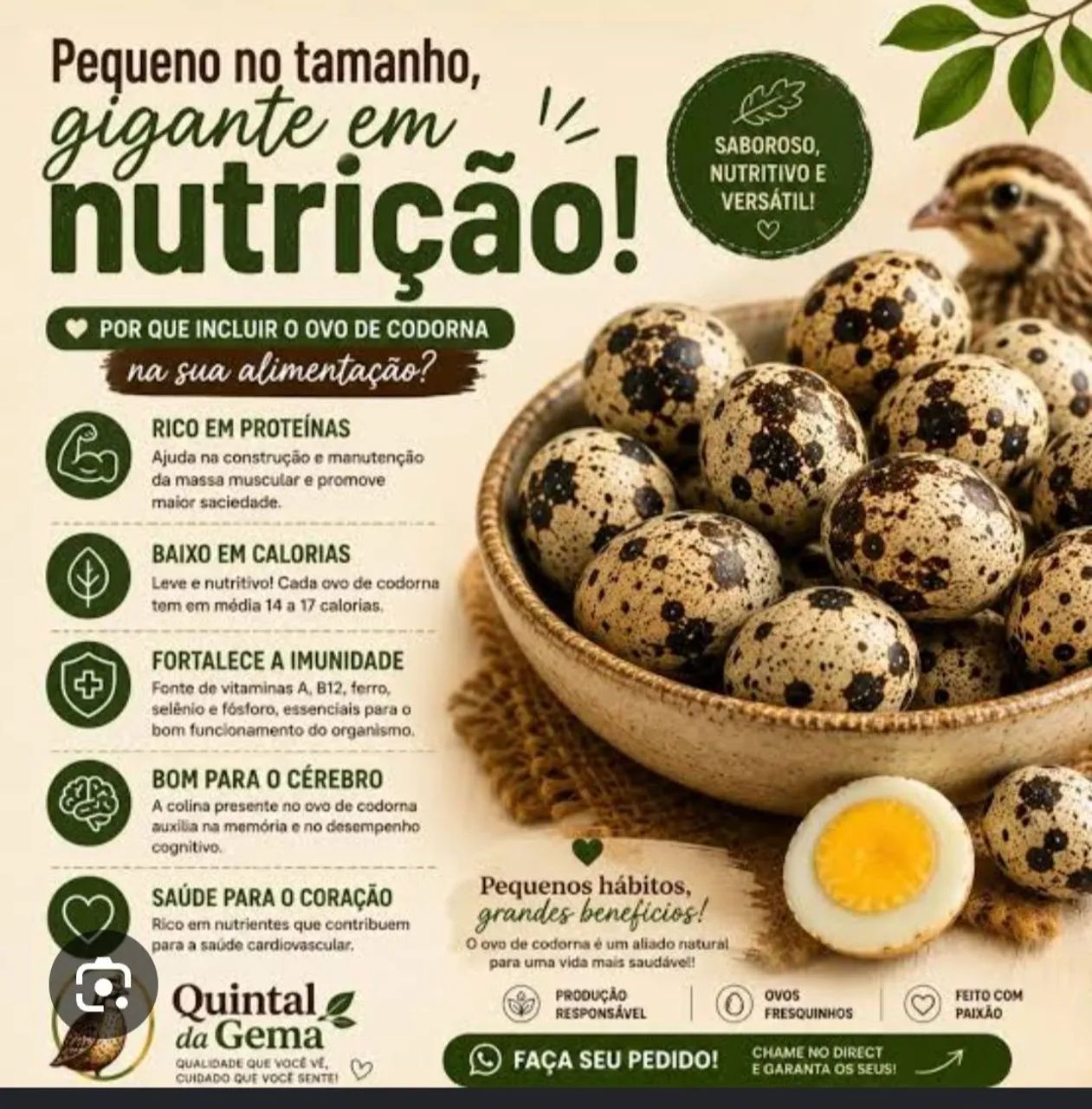 Ovos de codorna  - Foto 3