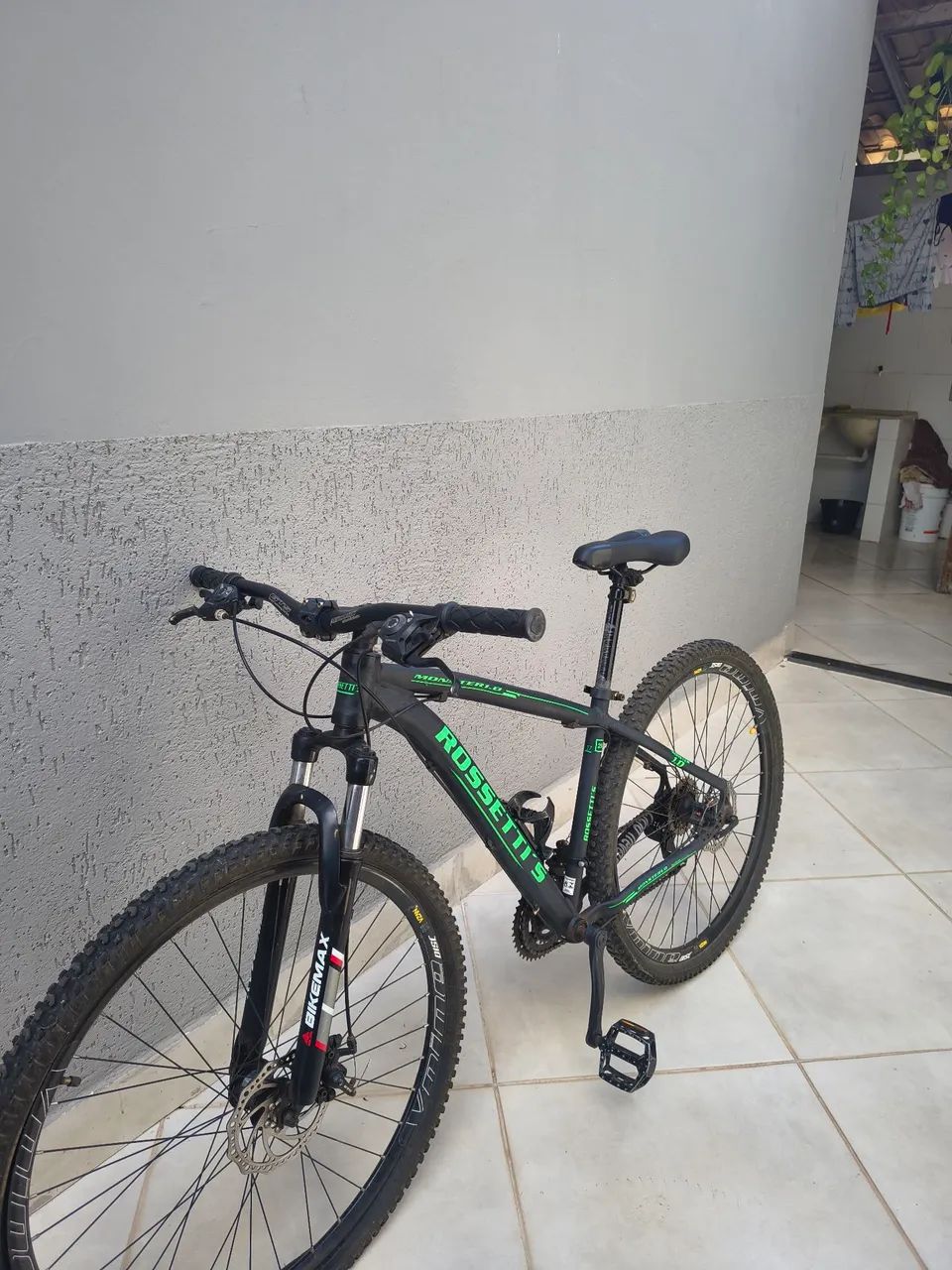 Baik Rossetti.s 29