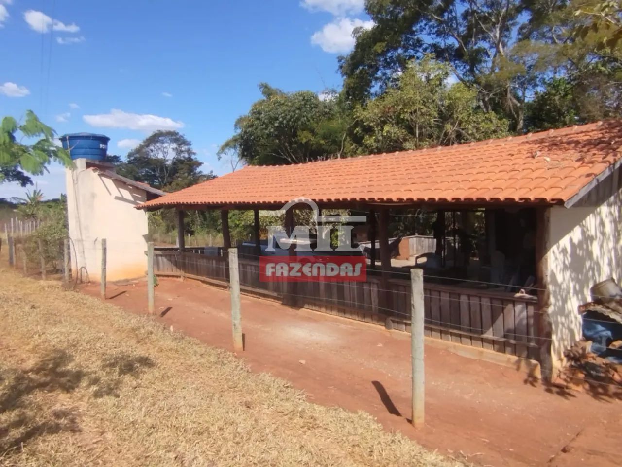 Chácara 3 alqueires ( 14.52 hectares) Itauçu - Go - Foto 5