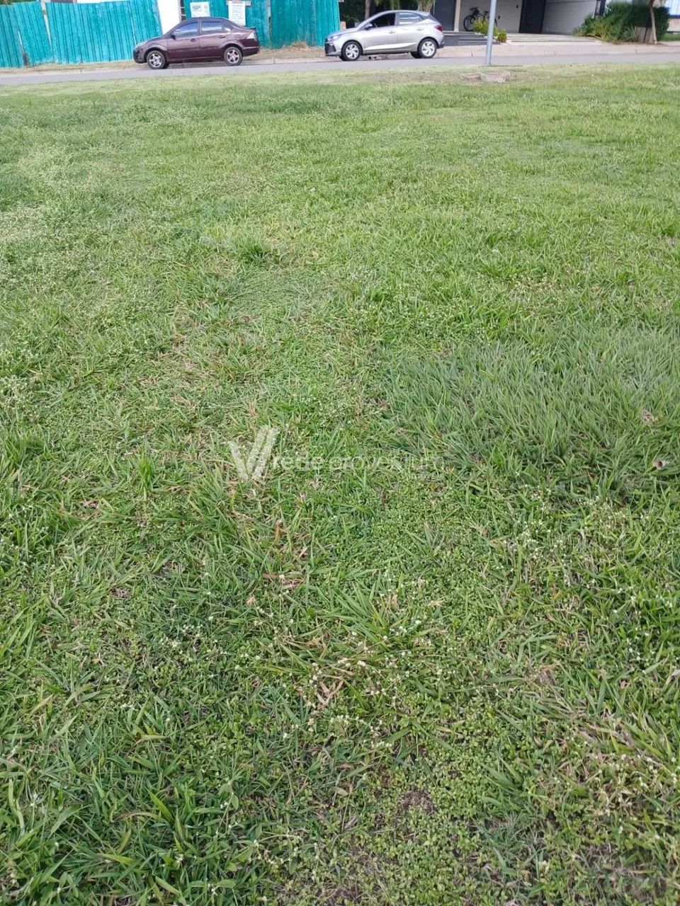 terreno - Holambra - Holambra - Foto 3