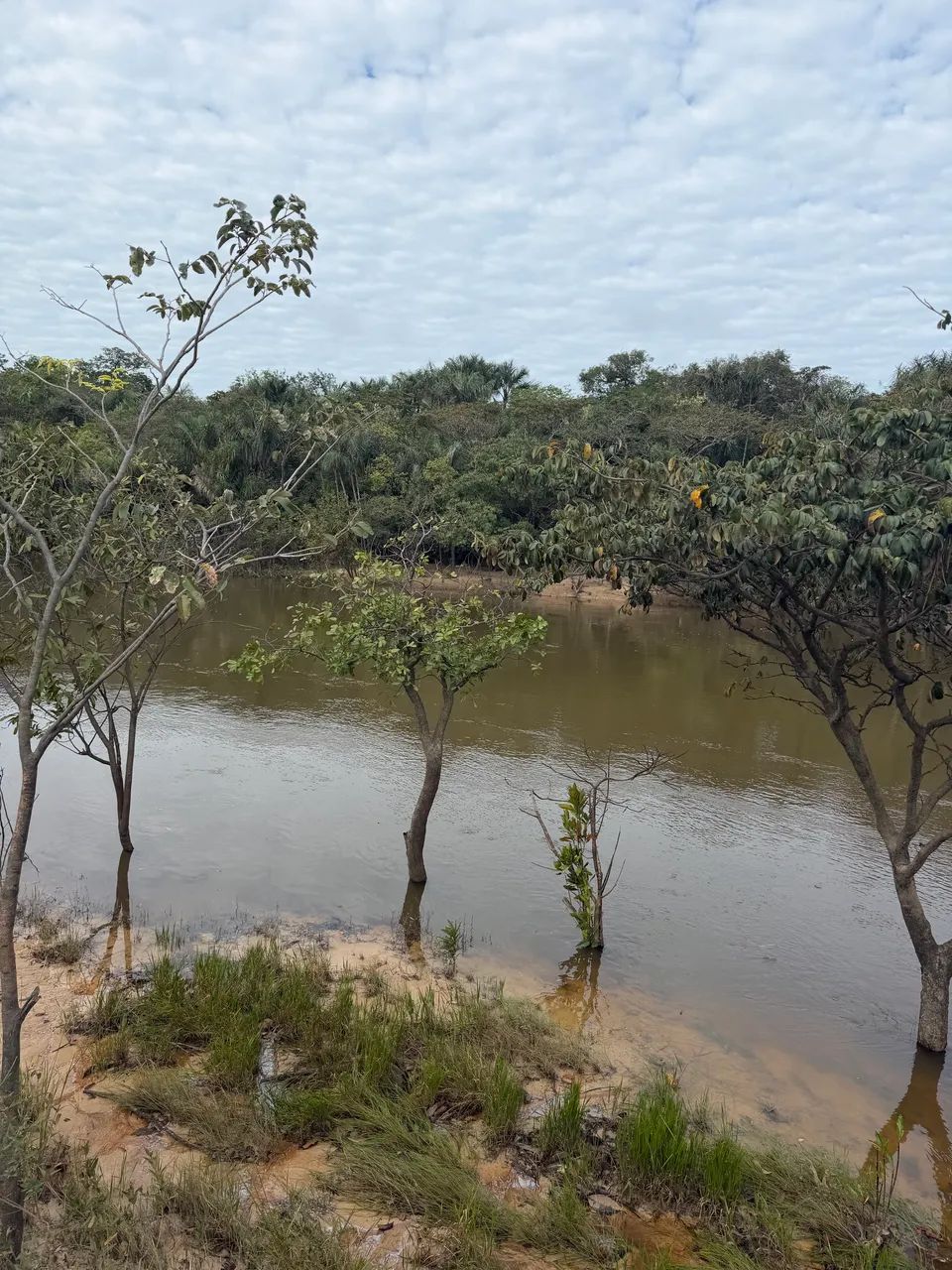 sitio com Rio Caumé nos fundos - Foto 3