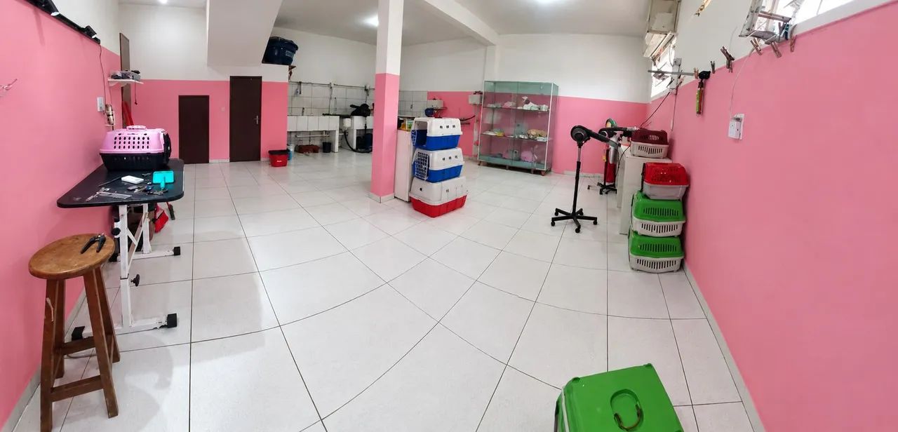 Banho e tosa a venda - Foto 3