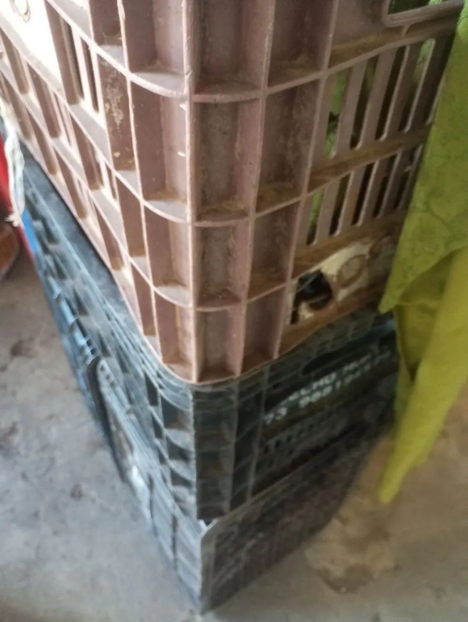 10 cxs verdurao $200 - Foto 4