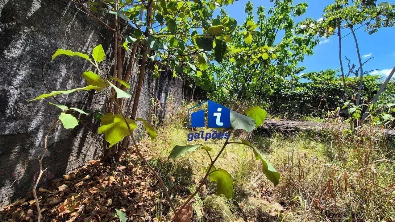 Terreno com 420 m² à 80 metros da BR101 em Igarassu - PE - Foto 4
