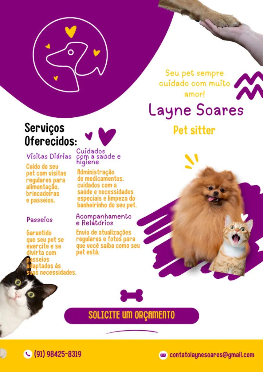 Pet Sitter / serviços para pet / baba de pet