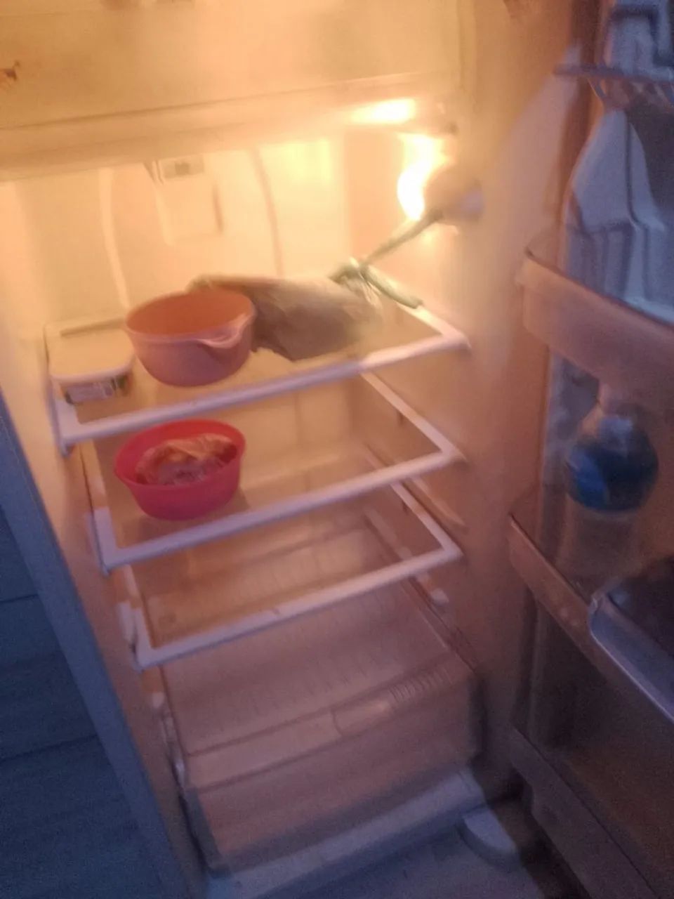 Geladeira Brastemp  - Foto 2