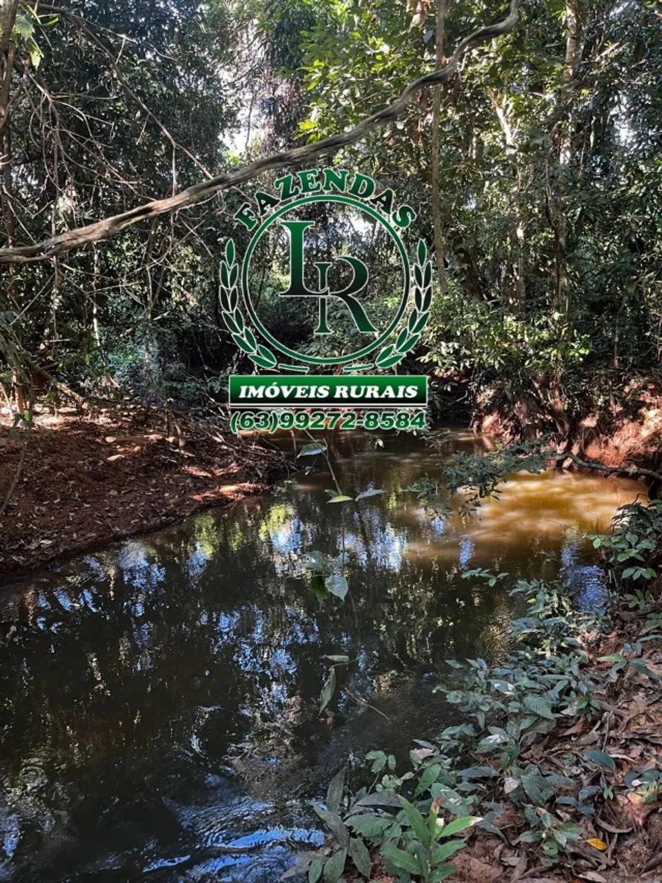 Oportunidade Chácara de 34 Hectares Próximo de Palmas,  - Foto 2