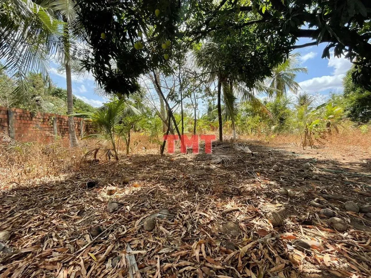 Sítio para Venda em Maranguape, Mucunã, 8 dormitórios, 6 suítes, 6 banheiros - Foto 3