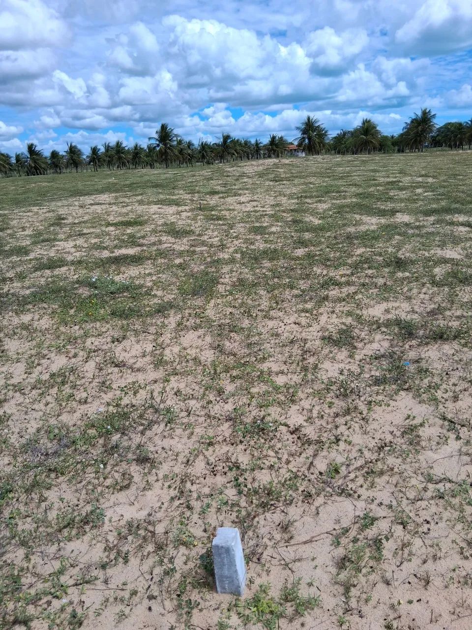 Excelente terreno em caiçara  - Foto 4