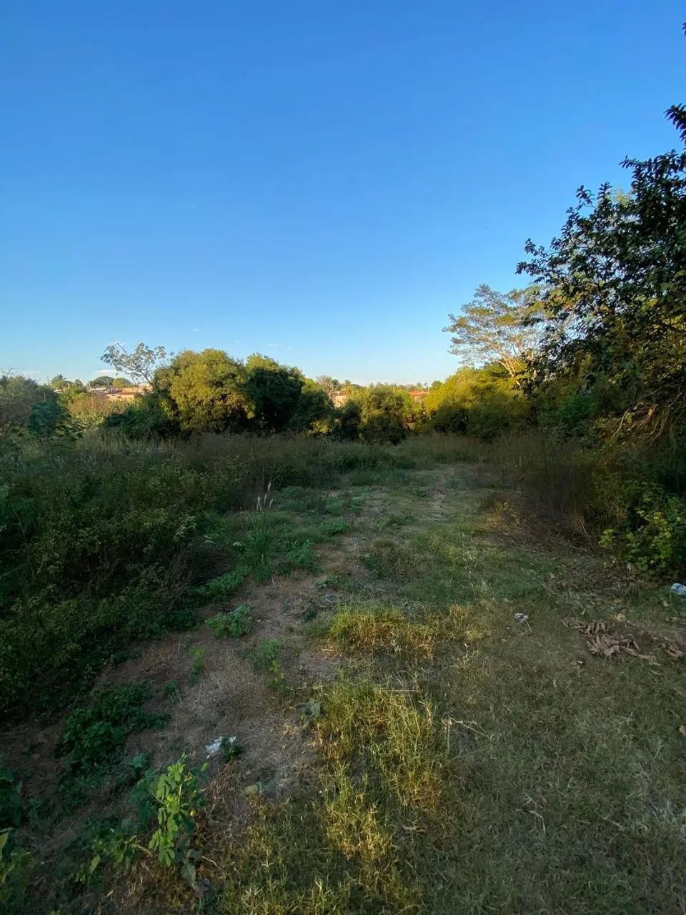 Chácara  - Foto 4