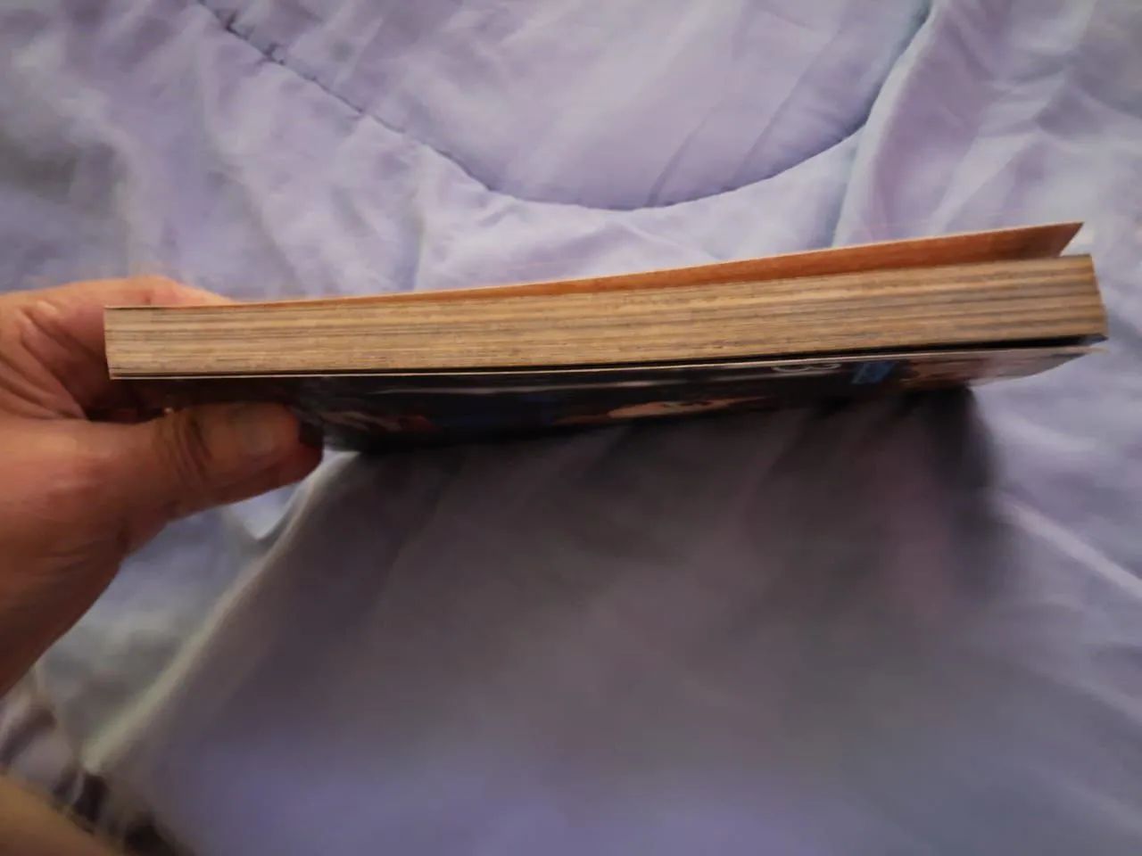 Mangá - Foto 2
