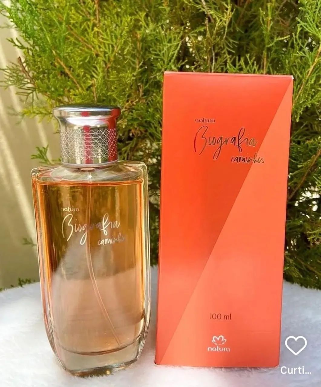 Perfume biografia caminhos 