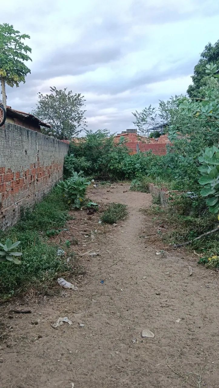 Terreno a venda  - Foto 3