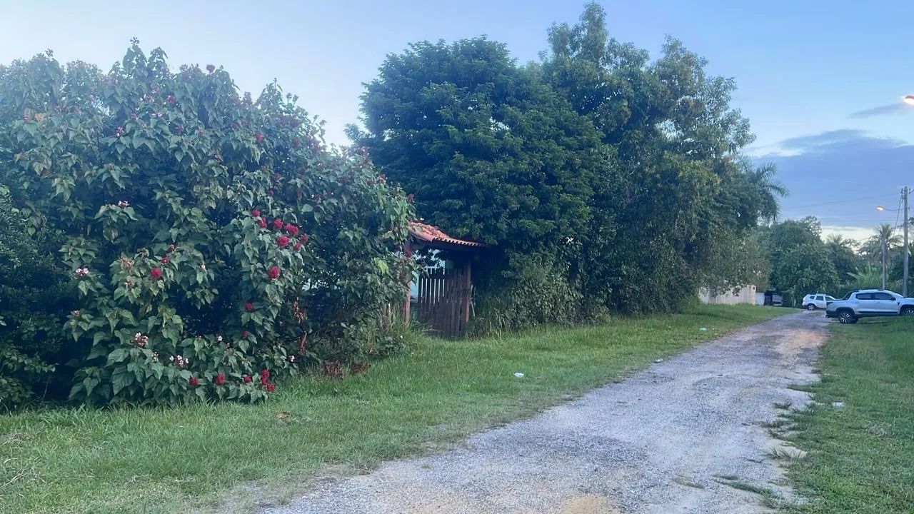 Terreno amplo, com casa construída e várias árvores frutíferas 