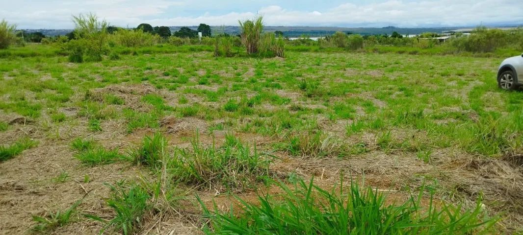 Foto - Brasília - Área Rural de Ceilândia