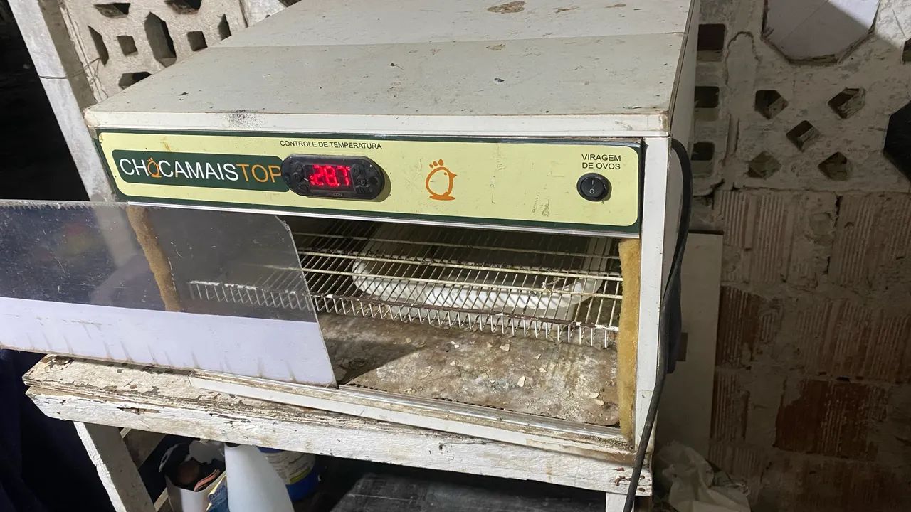 Chocadeira 120 ovos 