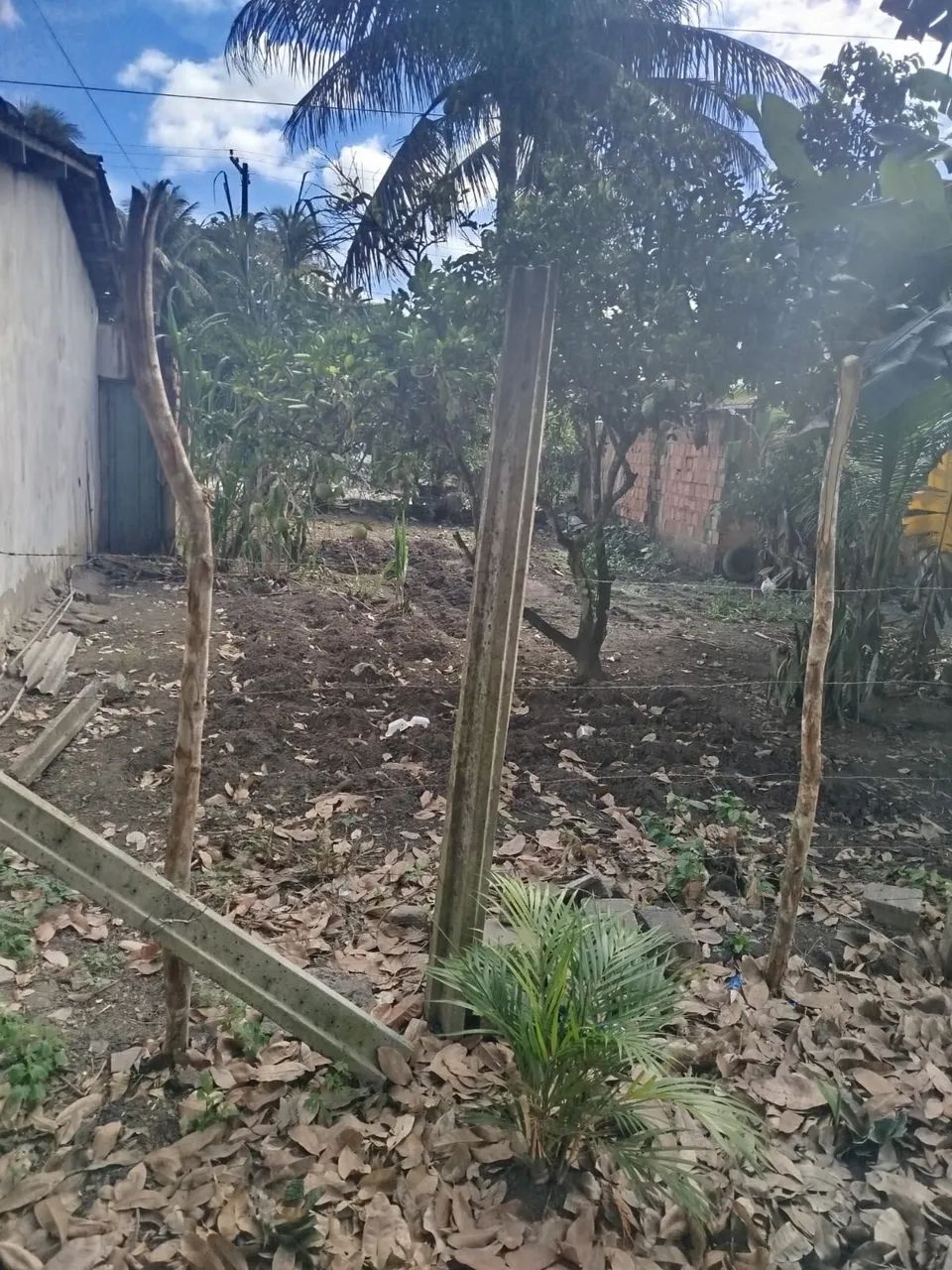Terreno  - Foto 5