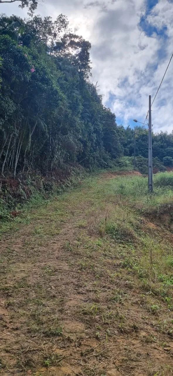 Vende-se amplo terreno no centro de Schroeder - Foto 3